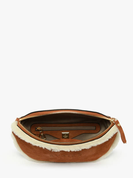 Belt Bag Etrier Brown alpin EALP022M other view 3